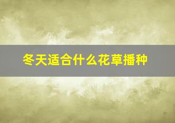 冬天适合什么花草播种