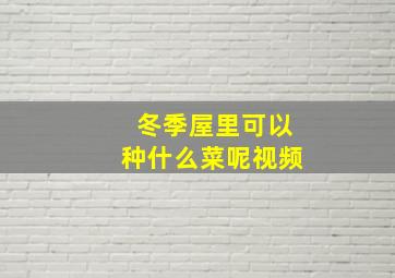 冬季屋里可以种什么菜呢视频