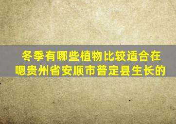 冬季有哪些植物比较适合在嗯贵州省安顺市普定县生长的