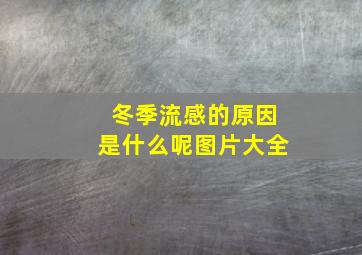 冬季流感的原因是什么呢图片大全