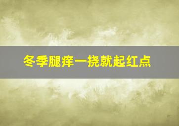 冬季腿痒一挠就起红点