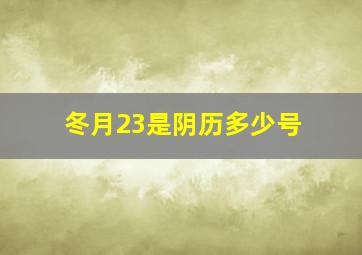 冬月23是阴历多少号