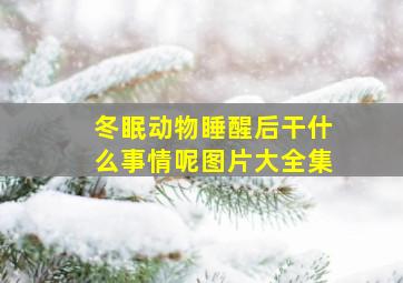 冬眠动物睡醒后干什么事情呢图片大全集