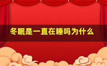 冬眠是一直在睡吗为什么