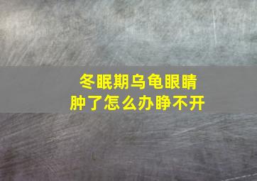 冬眠期乌龟眼睛肿了怎么办睁不开