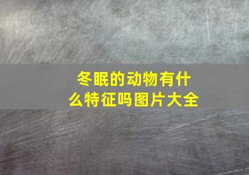 冬眠的动物有什么特征吗图片大全