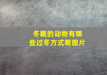 冬眠的动物有哪些过冬方式呢图片