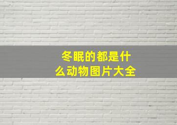 冬眠的都是什么动物图片大全