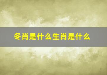 冬肖是什么生肖是什么