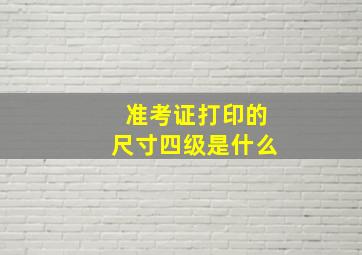 准考证打印的尺寸四级是什么