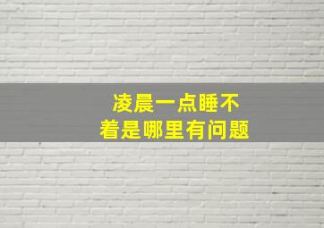 凌晨一点睡不着是哪里有问题