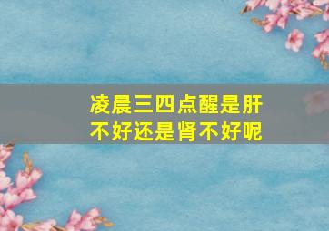 凌晨三四点醒是肝不好还是肾不好呢