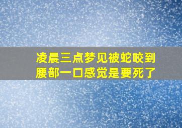 凌晨三点梦见被蛇咬到腰部一口感觉是要死了