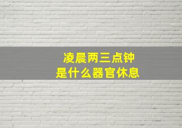 凌晨两三点钟是什么器官休息