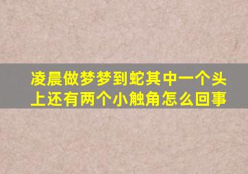 凌晨做梦梦到蛇其中一个头上还有两个小触角怎么回事