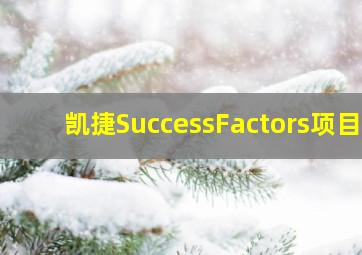 凯捷SuccessFactors项目