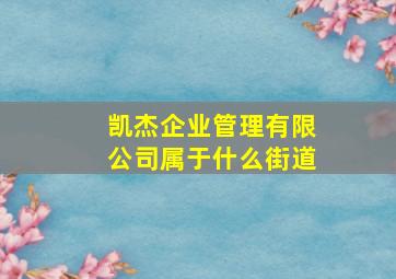 凯杰企业管理有限公司属于什么街道