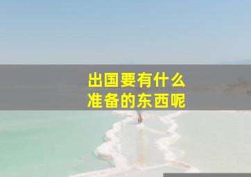 出国要有什么准备的东西呢