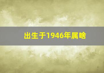 出生于1946年属啥