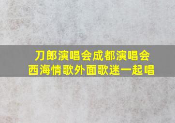 刀郎演唱会成都演唱会西海情歌外面歌迷一起唱