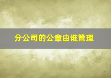 分公司的公章由谁管理