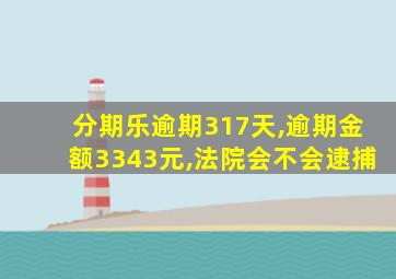 分期乐逾期317天,逾期金额3343元,法院会不会逮捕