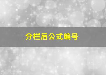 分栏后公式编号