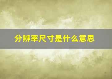 分辨率尺寸是什么意思