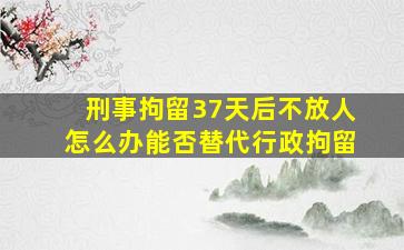 刑事拘留37天后不放人怎么办能否替代行政拘留