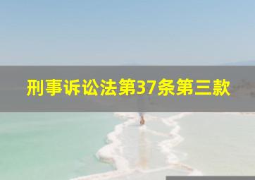 刑事诉讼法第37条第三款