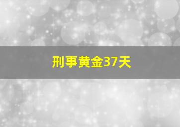 刑事黄金37天