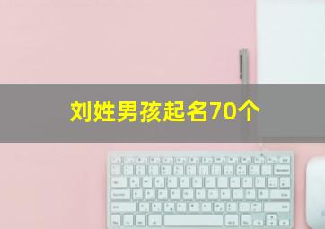 刘姓男孩起名70个