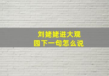 刘姥姥进大观园下一句怎么说