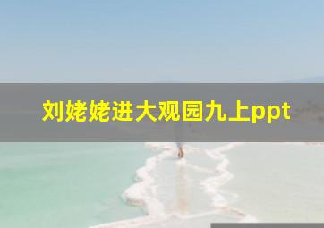 刘姥姥进大观园九上ppt