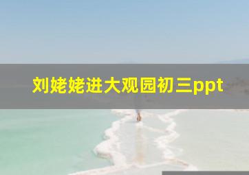 刘姥姥进大观园初三ppt