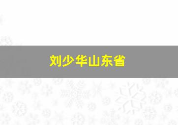 刘少华山东省