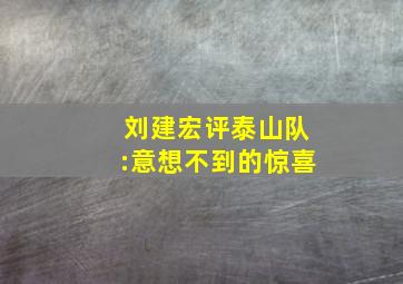 刘建宏评泰山队:意想不到的惊喜