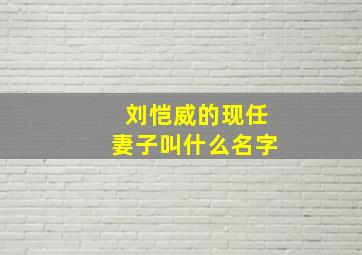 刘恺威的现任妻子叫什么名字