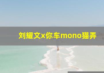 刘耀文x你车mono猫弄