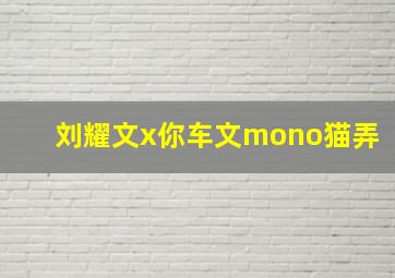 刘耀文x你车文mono猫弄