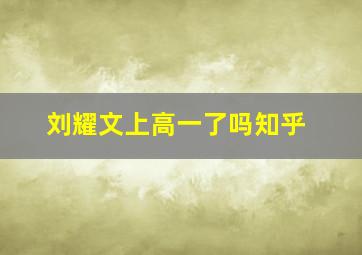 刘耀文上高一了吗知乎