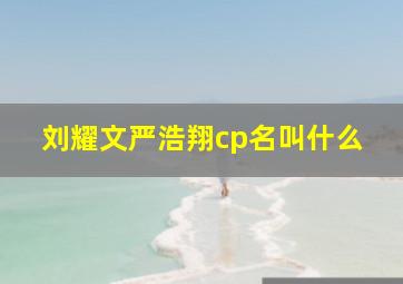 刘耀文严浩翔cp名叫什么