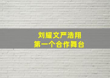 刘耀文严浩翔第一个合作舞台