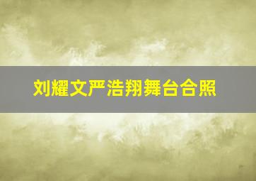 刘耀文严浩翔舞台合照