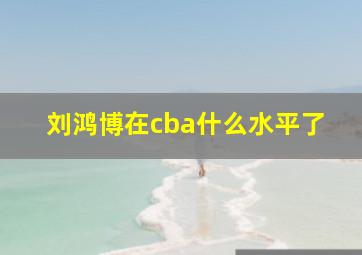 刘鸿博在cba什么水平了