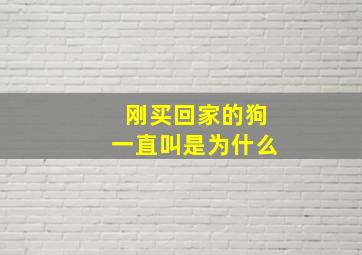 刚买回家的狗一直叫是为什么