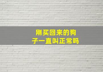 刚买回来的狗子一直叫正常吗