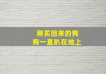 刚买回来的狗狗一直趴在地上