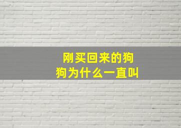 刚买回来的狗狗为什么一直叫