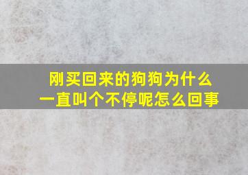 刚买回来的狗狗为什么一直叫个不停呢怎么回事